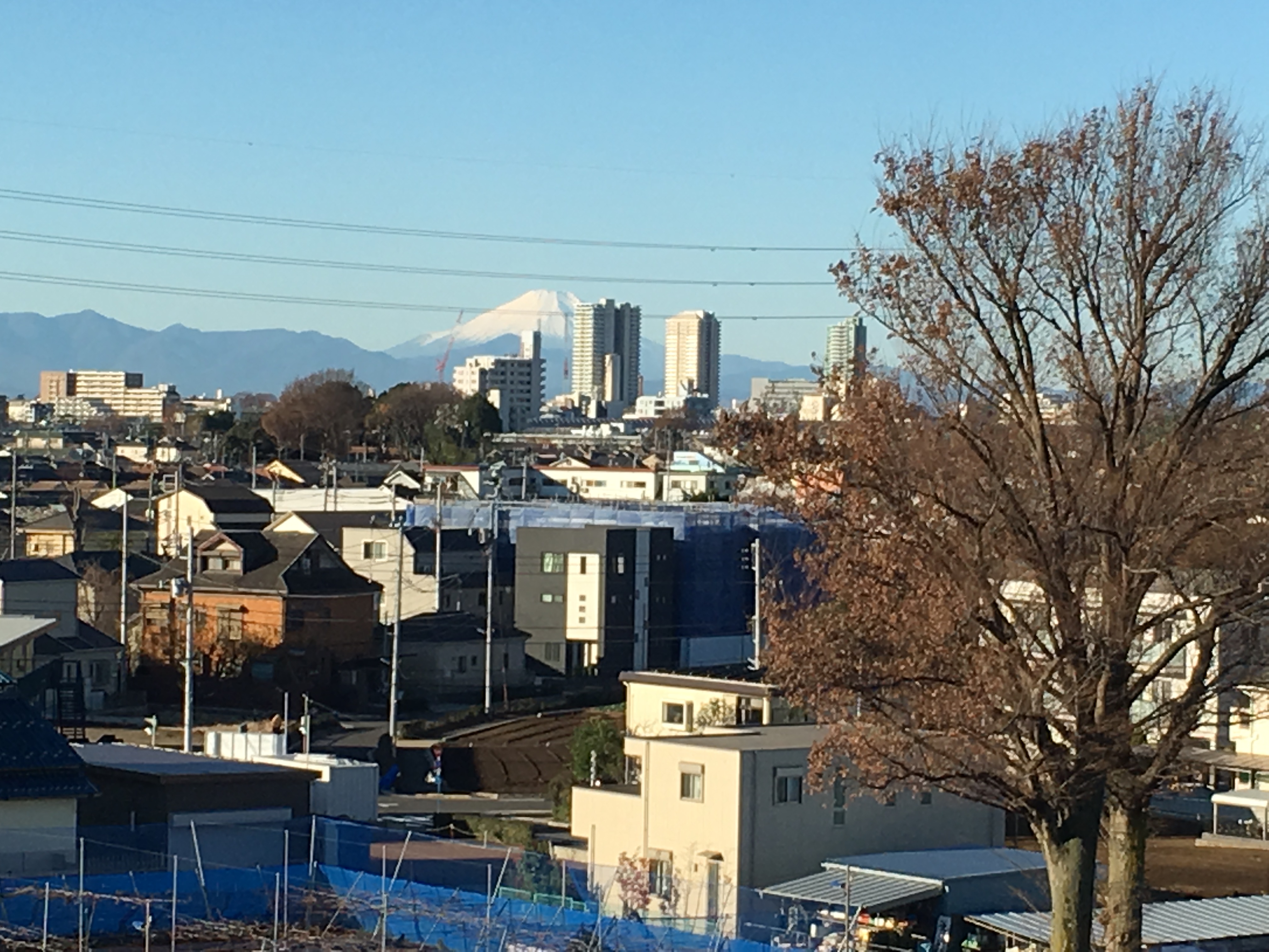 大江戸線延伸で注目される大泉学園町に住むためのくふうとメリット やさしいライフプランニング